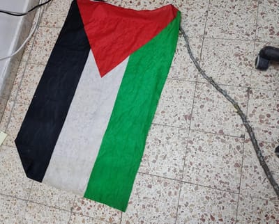 יידו אבנים כשדגלי פלסטין עליהם – ונעצרו