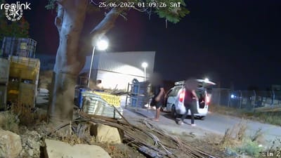מול המצלמות: גנבו 30 שקי דשן מקיבוצניק בצפון