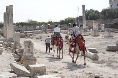 המאבק בהרס העתיקות ביו"ש: יגויסו פקחים נוספים