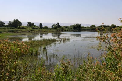 אזהרה למטיילים: הנחלים שמסוכן להיכנס אליהם