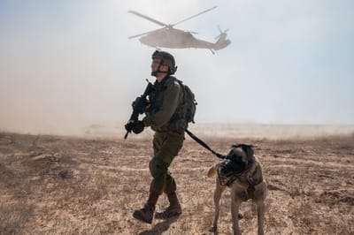 צפו: תצוגת תכלית של צה"ל לרמטכ"לים זרים