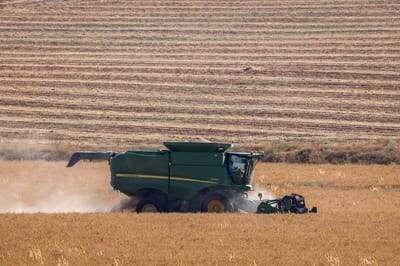 בחפץ חיים חושפים נתונים: הרווחנו כפול בשנה השישית