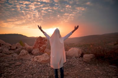 הרב אהרן ליכטנשטיין בספר חדש: "רוח אביב"