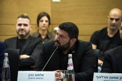בדרך למשילות? חוק הפרוטקשן עבר באופן סופי
