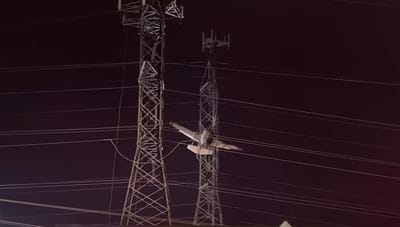 נותרו בחושך: מטוס התרסק לתוך קווי חשמל בארה"ב