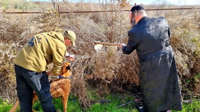 צפו | בעזרת יחידת הכלבנים: נעצרו ארבעה חשודים בהחזקת אמל"ח