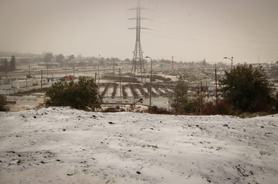 ברברה מגיעה לשיא: איפה לא יתקיימו מחר לימודים?