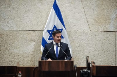 דן אילוז