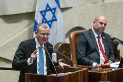 יריב לוין בהצבעה על הרפורמה, אמש