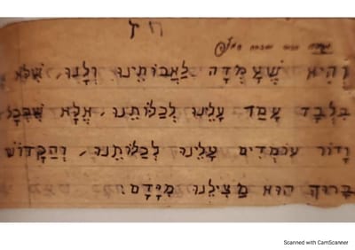 בכל דור ודור: ההגדה שנכתבה בכתב יד בשואה