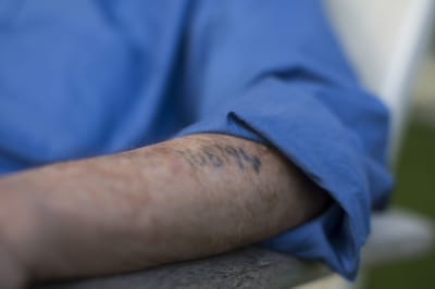 ערב יום השואה: זה מספר הניצולים שחיים בישראל