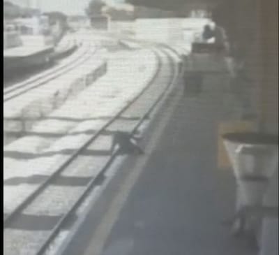 פקחי הרכבת חילצו נוסע שיכור שנפל למסילה. צפו