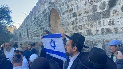 נערים הניפו דגל בהר הבית ונעצרו. צפו בתיעוד