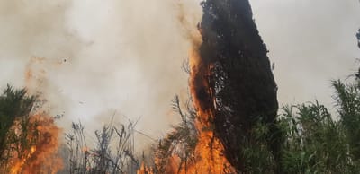השריפה מתפשטת: רכבות הופסקו, תושבים פונו
