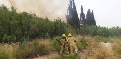 אחרי 3 שעות: הושגה שליטה על השריפה בפ"ת