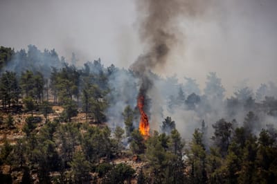 אזהרה לקראת מזג האוויר המתקרב: "איסור מוחלט"