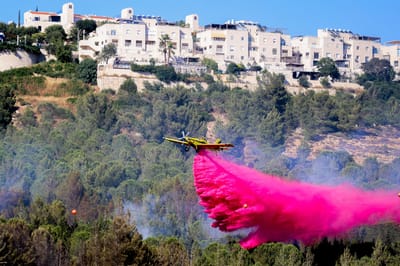 שריפה פרצה בעין לבן: גן החיות התנ"כי פונה