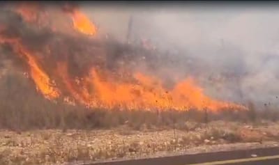 שריפת יער מתפתחת במהירות בהרי ירושלים