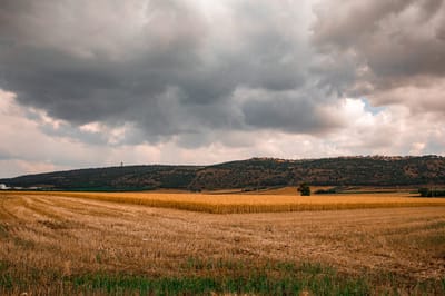 גרים בעמק יזרעאל? משרד הבריאות בהודעה לתושבים