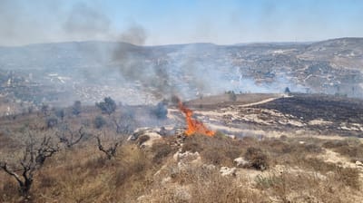 שריפה משתוללת במורדות הישוב יצהר