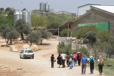 זה הזמן שלכם לתת גב לגבעות