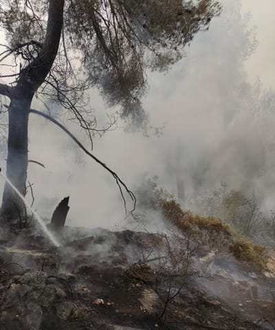 שריפה משתוללת בהרי ירושלים בסמוך לכביש 1
