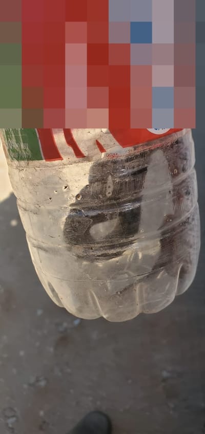 פרדס חנה: צעיר הוכש על ידי נחש – מצבו בינוני