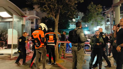 אריה קינג: "המציאות הנוכחית חייבת להיפסק"