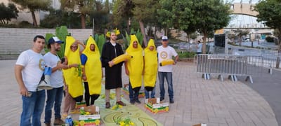"רפובליקת בננות": המחאה של אם תרצו מול בג"ץ