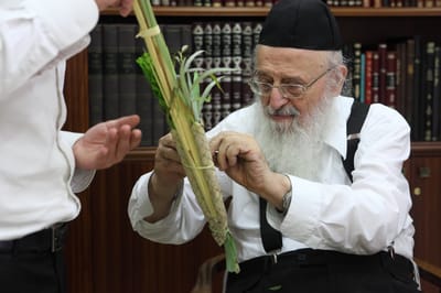 משבר הנהגה: המכתב שמטלטל את 'דגל התורה'