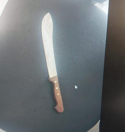פלסטיני מעזה נעצר ברכבת עם סכין קצבים