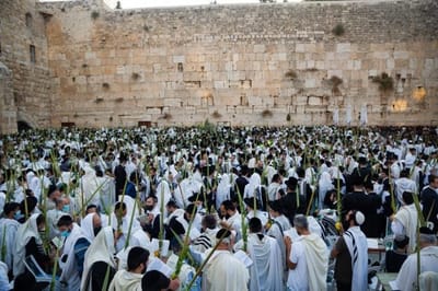(צילום: הקרן למורשת הכותל המערבי)