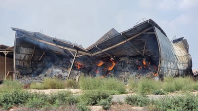 תנובה מקימה קרן של כ-15 מיליון שקל לתמיכה ברפתות בעוטף