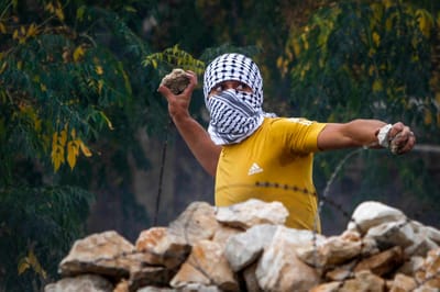 במערכת הדיווח של צה"ל: 'אלימות' שמורה רק ליהודים