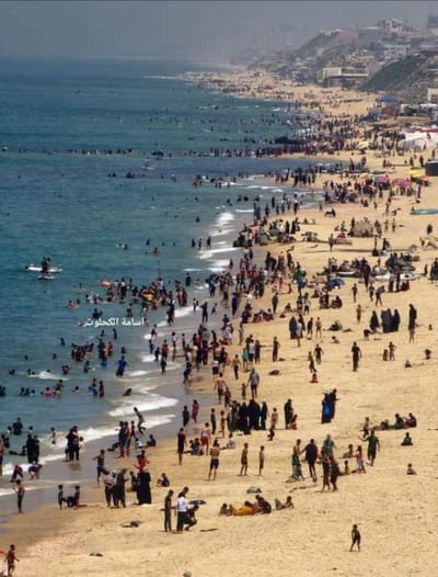עיתונאית הארץ על סרטון העזתים: "אותי זה משמח"