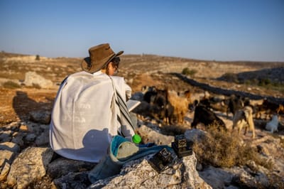 לשים גבול לחוצפה שלנו, העירוניים, כלפי המתנחלים