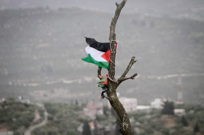 פצוע קל ממטען שהוצב סמוך לדגל פלסטין בבנימין