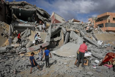 מרגש: כלבה שנחטפה מהעוטף ב-7.10 אותרה ברפיח