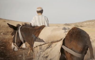 "רק שיפול לידיי רב חשוב, ואני אשבור לו את העצמות"