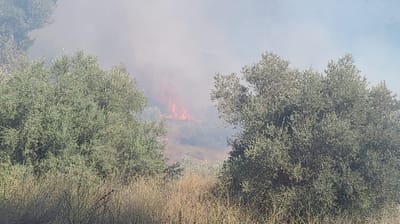 שריפה משתוללת במחלף שורש לכיוון תל אביב
