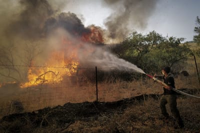 מנהל המרחב: זה האסון הגדול בהיסטוריה של קק"ל