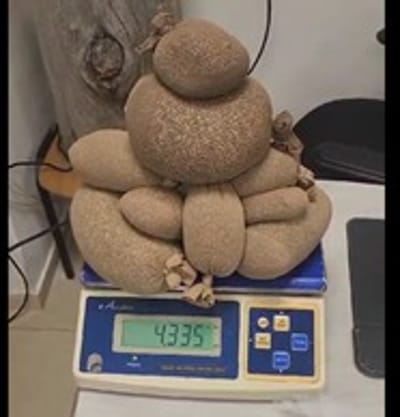 מעצר בנתב"ג: 4.3 קילו קנאביס הוחבאו בגרביונים