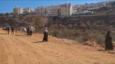 טרור בחסות המסיק: פיגוע ענק נמנע בבית"ר עילית