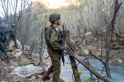 האלוף גורדין בליטני