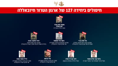 צה"ל מאשר: חיסלנו את מפקד היחידה האווירית של חיזבאללה