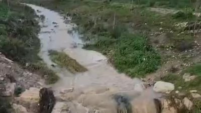 כמויות עצומות של מים: צפו בזרימות האדירות בנחלים