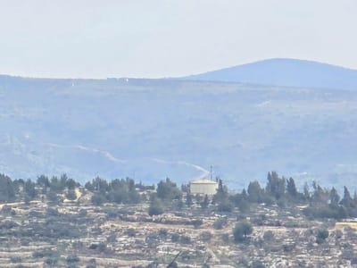 "עוד נחזור": גרעין עין גנים כדים חגגו ט"ו בשבט קרוב לבית