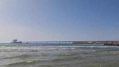 סוף עצוב: הממצאים אישרו כי הצוללן נטרף למוות בידי כריש