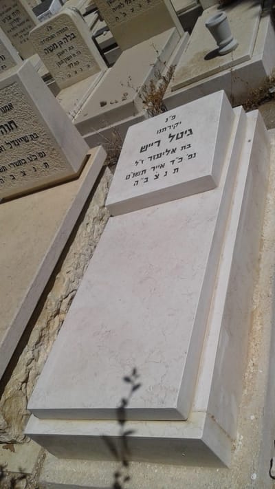 ניצולי שואה ללא מצבה: האב השכול בפרויקט מרגש