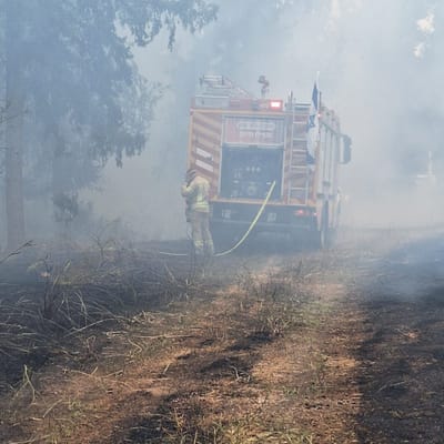 ישראל בוערת: מוקדי שריפה גם בבית שאן ועפולה